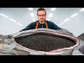 How Caviar Is Made (Farm To Table)
