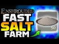 How To Find Salt In Enshrouded - Beginner Guide To Enshrouded