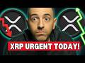XRP Just In: Is THIS the Good NEWS We’ve Been Waiting For? What The White House Just Said!