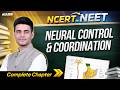 Neural Control \u0026 Coordination Full Chapter | NCERT to NEET Biology | Munish Dhull Sir