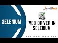 Selenium Web Driver | Selenium Tutorial | Online Selenium Training | Intellipaat
