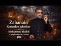 Zabanain - Quran kya kehta hey? Muhammad Shaikh - Complete Quran Lecture | iipc 