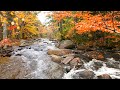 4K Autumn Forest River Sound | Pure Flowing Water, No Birds | White Noise for Sleep \u0026 Stress Relief.