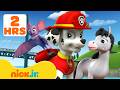 Paw Patrol | ¡Rescates de Animales en Bahía Aventura! #3 🐻‍❄️🦉 | Nick Jr. en Español