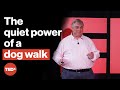 How to meet people by walking your dog | Rob Bentley | TEDxGosport