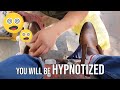 S5E20 😵‍💫 you will be hypnotized 😵‍💫#ASMR #shoeshine #faustoarizmendi