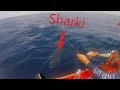 Incredible footage of a huge shark attack while kayak fishing in the ocean.