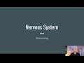 Nervous System