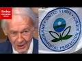 'Sacrificed On The Altar Of Elon Musk And DOGE': Ed Markey Slams EPA Gutting