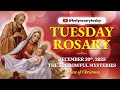 TUESDAY HOLY ROSARY ❤️ DECEMBER 30, 2025 ❤️ THE SORROWFUL MYSTERIES OF THE ROSARY [VIRTUAL]