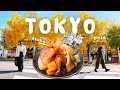 Tokyo Vlog 2026 🇯🇵 Ginza \u0026 Tsukiji Market Food, Cafes, Restaurants \u0026 Shopping | Japan Travel Guide
