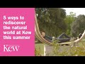 5 ways to rediscover the natural world at Kew this summer