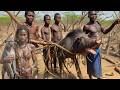 Witness Hadzabe Tribe Incredible Lifestyle | still Surviving in the forest