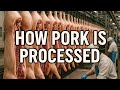 How Pork  is Processed 🐖– From Farm to Table | Process Revealed
