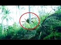 5 Most Incredible Recent Amazon Jungle Discoveries To Blow Your Mind