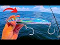 SOLO Fishing *25 Miles* Offshore for AGGRESSIVE Fish with HUGE Stickbaits! *EPIC Bites