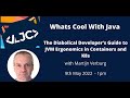 The Diabolical Developer’s Guide to JVM Ergonomics in Containers and K8s with Martijn Verberg  May 9