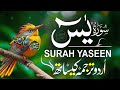 Full Surah Yaseen with Urdu Tarjuma | Most Beautiful and Relaxing Quran Recitation
