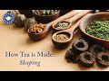 How Tea is Made: Shaping