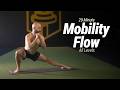 20 Minute Mobility Flow - All Levels | No Talking, Just Movement!