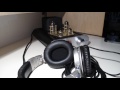 MVI 2962