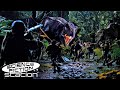 The Tyrannosaurus Rex's Attack The Camp | The Lost World: Jurassic Park | Science Fiction Station