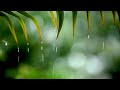 RAIN MEDITATION - 10 Hours - Sleep Aid - Anxiety Relief - Calming Background Ambience