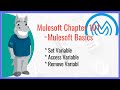 Mulesoft Chapter 1 (Basics) | 07 - Set Variables, Remove Variables \u0026 Access Variables