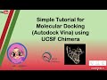 Simple Tutorial for Molecular Docking (Autodock vina) using UCSF Chimera   HD 720p