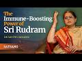 Uncovering Ayurvedic Secrets from Sri Rudram | Dr Savitri Vasudev | Satsang from Prasanthi Nilayam