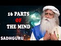 16 Parts of the Mind   Intellect and Intelligence   Sadhguru on Mind   Sadhguru   Adiyogi