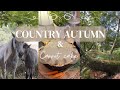 Slow Living in the English Countryside | Autumn in the New Forest with Ponies \u0026 Cosy Baking 🍂🕯️