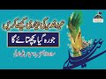 Ghadeer ki Tayyari kaisay karain. [Molana Dr. Mirza Abbas Ali Khoi]