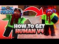 How to get Human V4 (Full Guide Race V4) - Blox Fruits (Update 18)