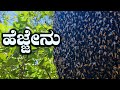 ಕಾಡಿನಲ್ಲಿ ಹೆಜ್ಜೇನು ತೆಗೆಯುವುದನ್ನು ನೋಡಿ Wild Honey Harvesting From Honeycomb | Village Vlogs Kannada