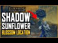 Elden Ring DLC Unique Holy Weapon Shadow Sunflower Blossom Location - Secret Weapon Location