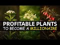 20 Profitable Plants That Will Make You A Millionaire