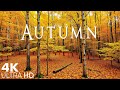 Beautiful Autumn Music 🍁 Calming The Soul With Gentle Tunes🍁4K Autumn Ambience \u0026 Fall Foliage