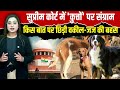 Supreme Court Stray Dogs सुनवाई की 6 बड़ी बातें: Judge Bench-वकीलों के बीच कुत्तों के आतंक पर महाभारत