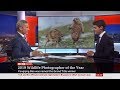 Wildlife Photographer of the Year (Global) - BBC News - 16th October 2019