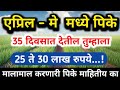 एप्रिल-मे महिन्यात लावा ही पिके आणि 35 दिवसात 20 ते 25 लाख / April may mahinyat pike / Unhali pike