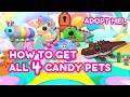 HOW TO GET ALL 4 CANDY PETS 🍬 in Adopt Me! | ROBLOX