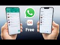 Transfer WhatsApp from Android to iPhone 2024 [Official Free Method]
