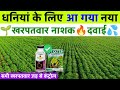 धनियां के लिए बेस्ट खरपतवार नाशक | Dhaniya me kaun si kharpatwar nashak dawai dalen🌱dhaniya ki kheti