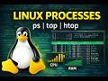 Linux Process management🐧 | ps, top, htop \u0026 kill Commands