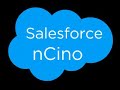 Salesforce nCino Training demo from SV Tech Soft