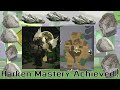 Harken Mastery Achieved - Die of death