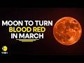 Blood Moon 2026: Blood Moon Returns In March, First Total Lunar Eclipse Of 2026 | WION Originals