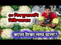 আবার ৫০ পিস ফুল কোপি বিক্রি করলাম কতো টাকা লাভ হলো? ||  vegetable market #vegitablemarket 