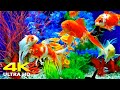 🐠 Aquarium 4K UHD | Relaxing Coral Reef Fish Tank with Soothing Music for Sleep, Study \u0026 Meditation